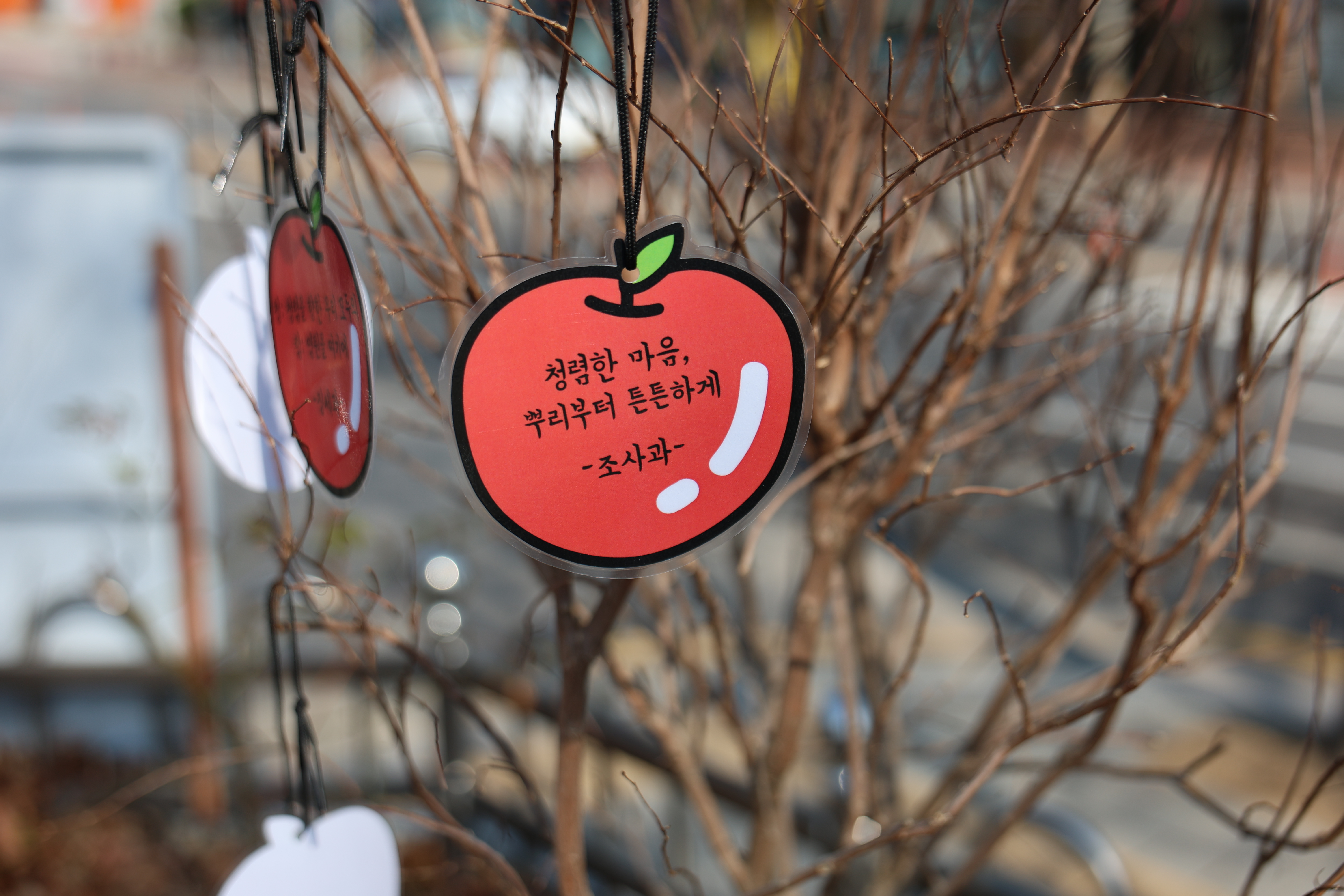 남동세무서 청렴나무심기 행사 이미지 4