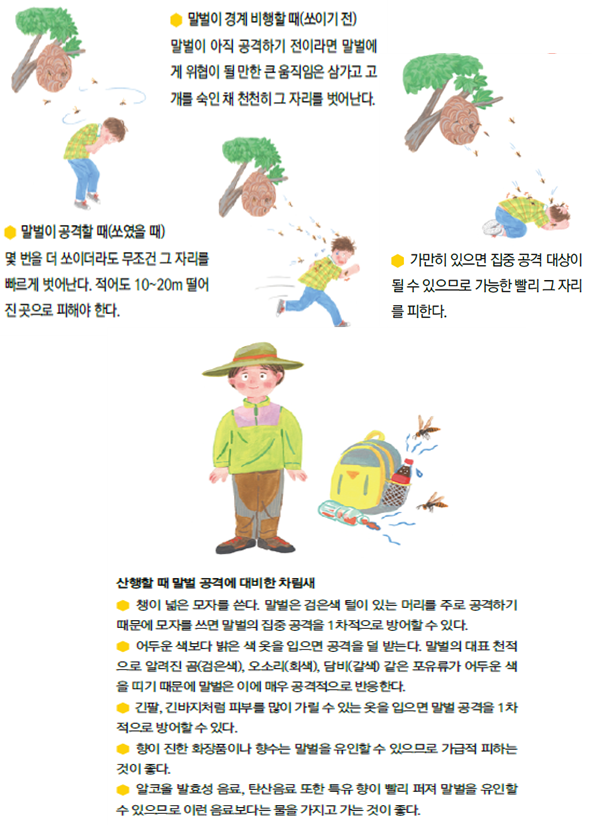 IMG_185025.png