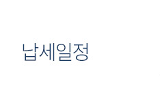 세무일정