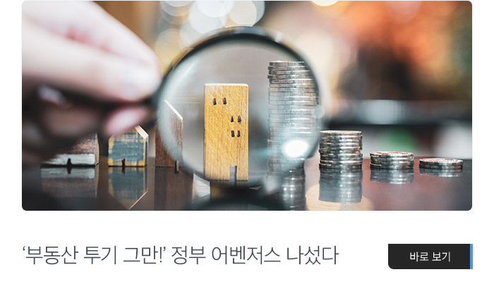 ‘부동산 투기 그만!’ 정부 어벤저스 나섰다 바로보기