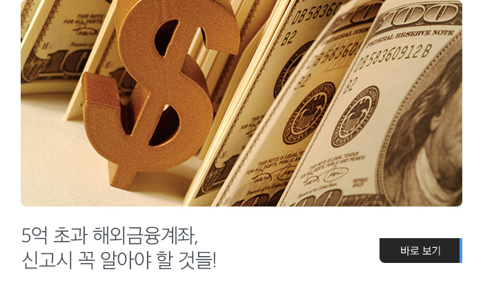 5억 초과 해외금융계좌, 신고시 꼭 알아야 할 것들! 바로보기