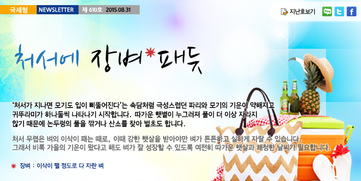 국세청뉴스레터 제610호 2015.08.31, 처서에 장벼 패듯, ' 처서가 지나면 모기도 입이 삐뚫어진다'는 속담처럼 극성스럽던 파리와 모기의 기운이 약해지고 귀뚜라미가 하나둘씩 나타나기 시작합니다. 따가운 햇볕이 누그러져 풀이 더 이상 자라지 않기 때문에 논두렁의 풀을 깎거나 산소를 찾아 벌초도 합니다.