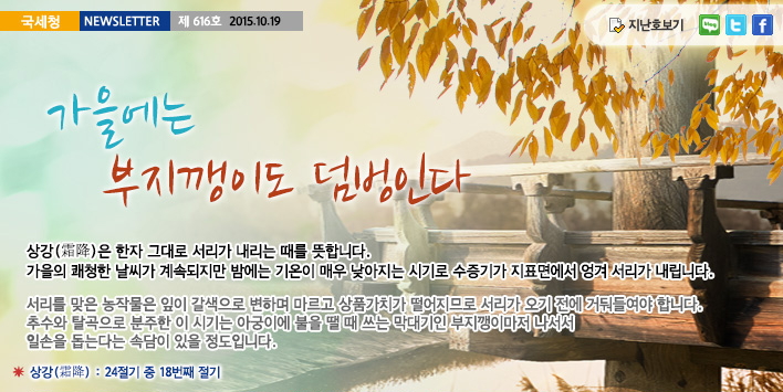 국세청뉴스레터 제616호 2015.10.19, 가을에는 부지깽이도 덤벙인다. 상강(霜降:24절기 중 18번째 절기)은 한자 그대로 서리가 내리는 때를 뜻합니다. 가을의 쾌청한 날씨가 계속되지만 밤에는 기온이 매우 낮아지는 시기로 수증기가 지표면에서 엉겨 서리가 내립니다. 서리를 맞은 농작물은 잎이 갈색으로 변하며 마르고 상품가치가 떨어지므로 서리가 오기 전에 거둬들여야 합니다. 추수와 탈곡으로 분주한 이 시기는 아궁이에 불을 땔 때 쓰는 막대기인 부지깽이마저 나서서 일손을 돕는다는 속담이 있을 정도입니다.
