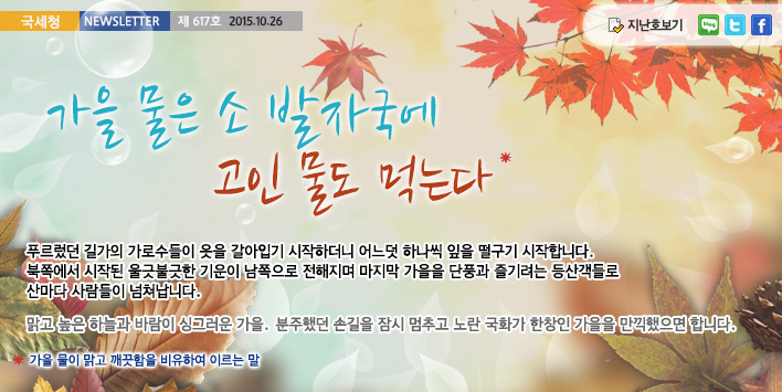 국세청뉴스레터 제617호 2015.10.26, 가을 물은 소 발자국에 고인 물도 먹는다. 푸르렀던 길가의 가로수들이 옷을 갈아입기 시작하더니 어느덧 하나씩 잎을 떨구기 시작합니다. 북쪽에서 시작된 울긋불긋한 기운이 남쪽으로 전해지며 마지막 가을을 단풍과 즐기려는 등산객들로 산마다 사람들이 넘쳐납니다. 맑고 높은 하늘과 바람이 싱그러운 가을, 분주했던 손길을 잠시 멈추고 노란 국화가 한창인 가을을 만끽했으면 합니다