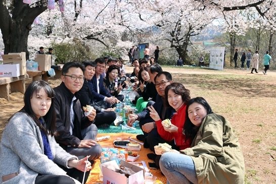벚꽃소풍1
