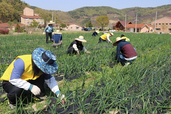 소망공동체 봉사활동1