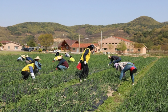 소망공동체 봉사활동2