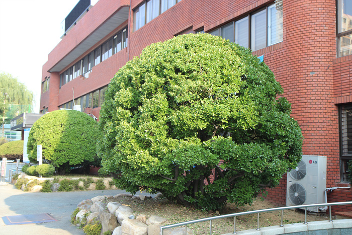 주차장 전지작업