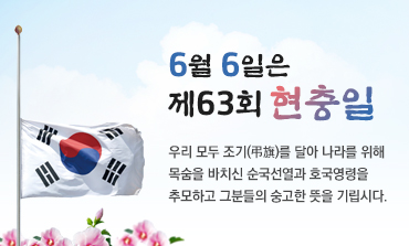 제63회현충일태극기